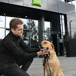 فندق Ibis Styles نوفة ساونج